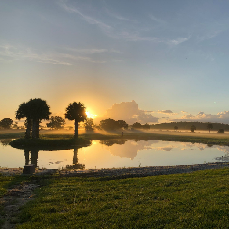 Florida